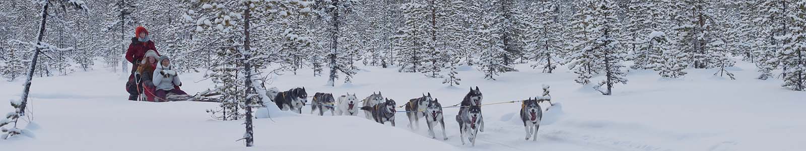 Waarom naar Zweeds Lapland in de winter? 10 redenen