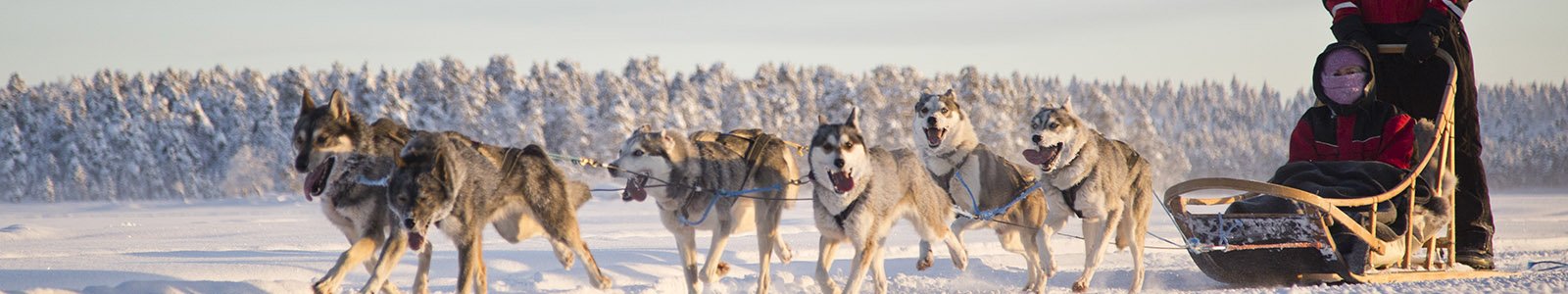 De winteractiviteiten in Lapland