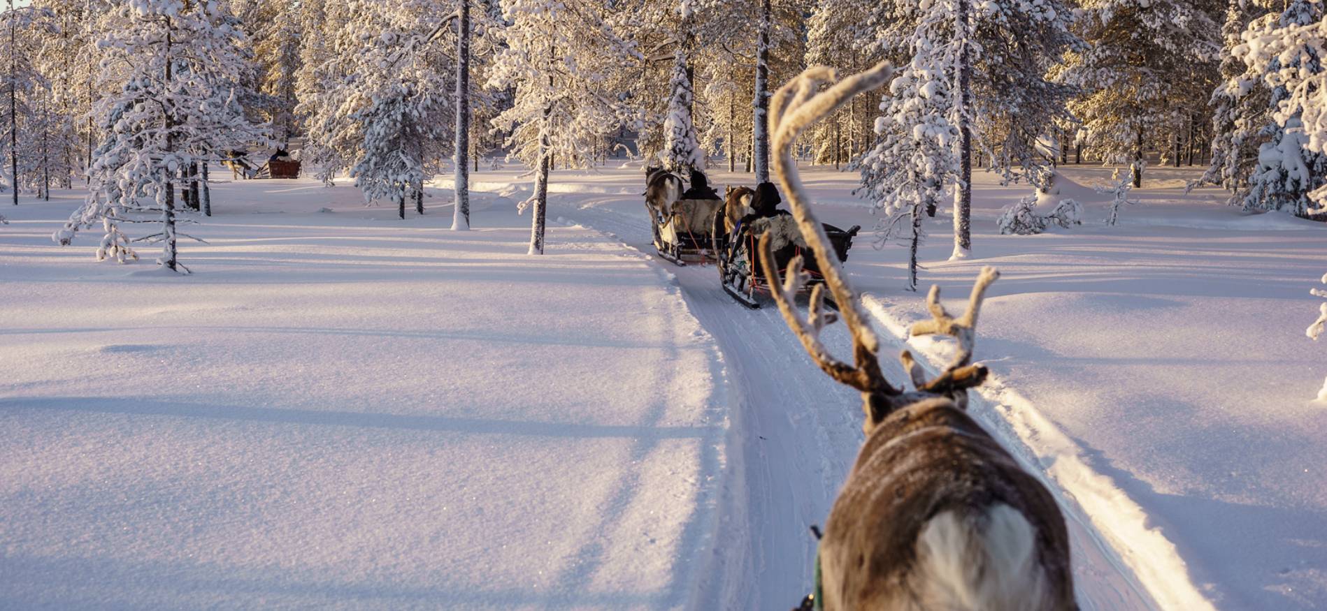 8-daagse groepswintervakantie Fins Lapland - Salla