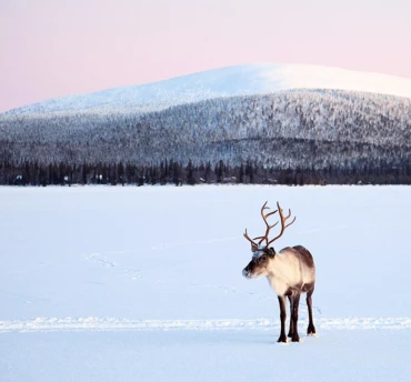 vt-actieblok-370x344-lapland