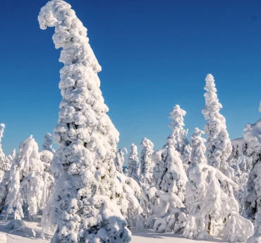 lapland-vt-blokken%20370x344(1)