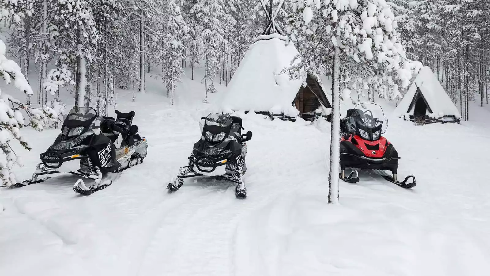 Sneeuwscootersafari door besneeuwde bossen