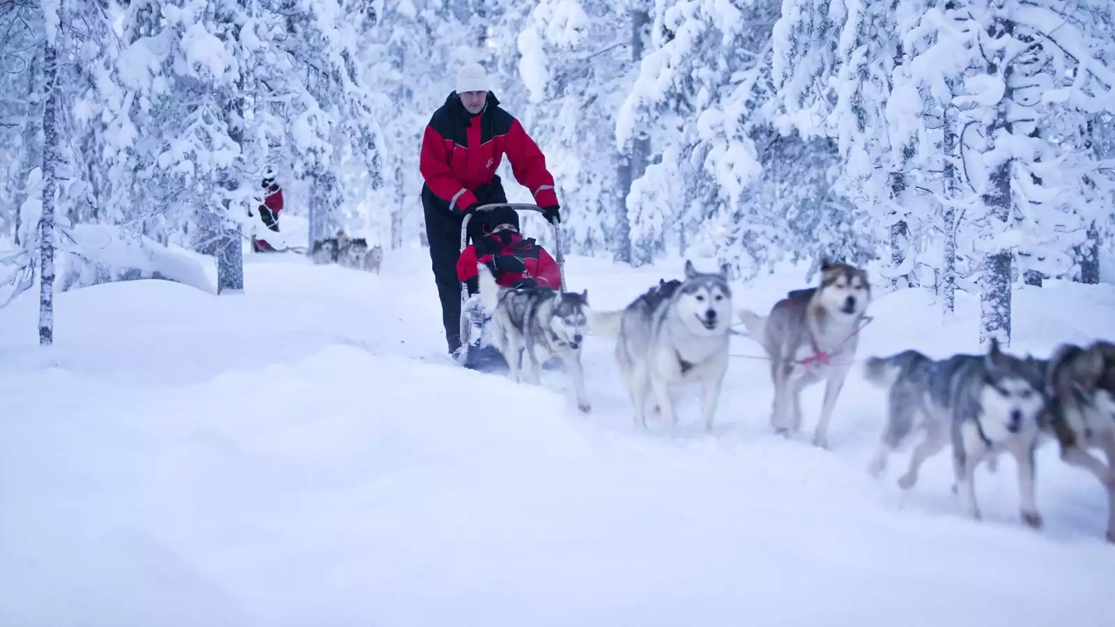 Huskytocht en sauna