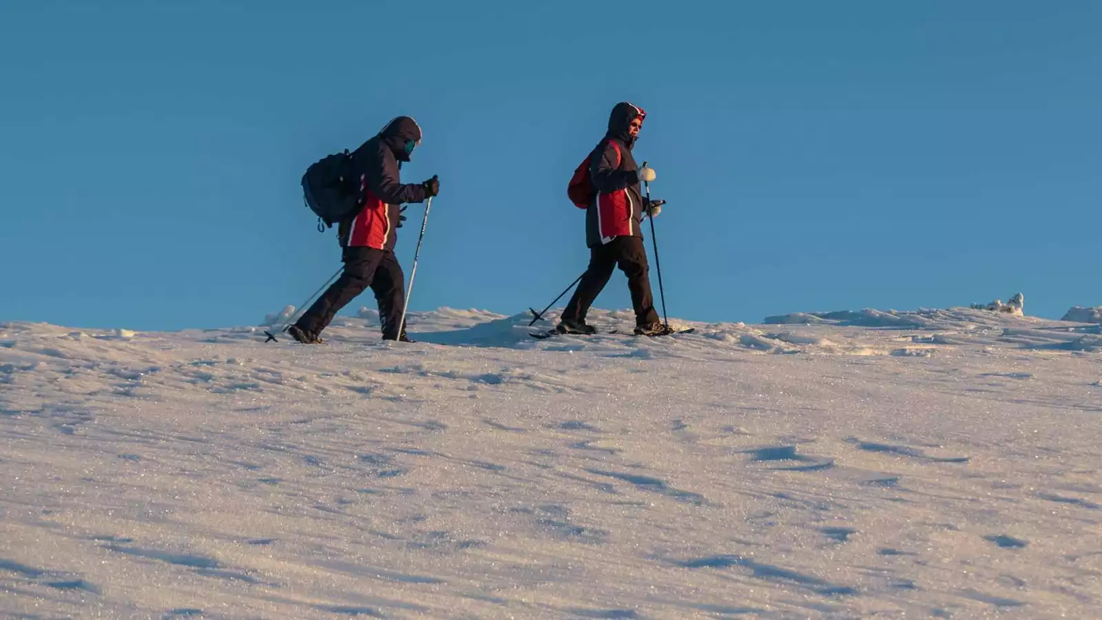 Sneeuwschoenwandeling en bezoek aan rendierfarm