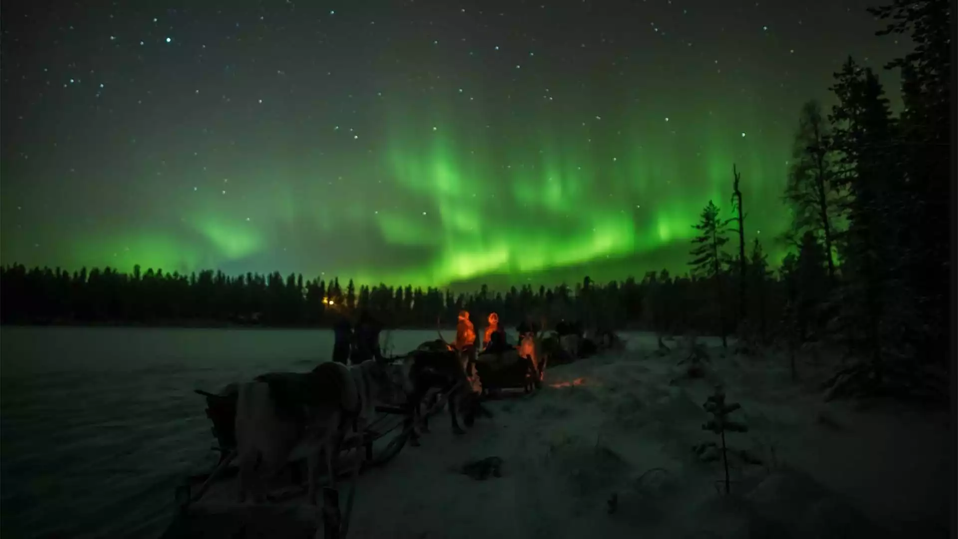 Noorderlicht rendiersafari in Salla