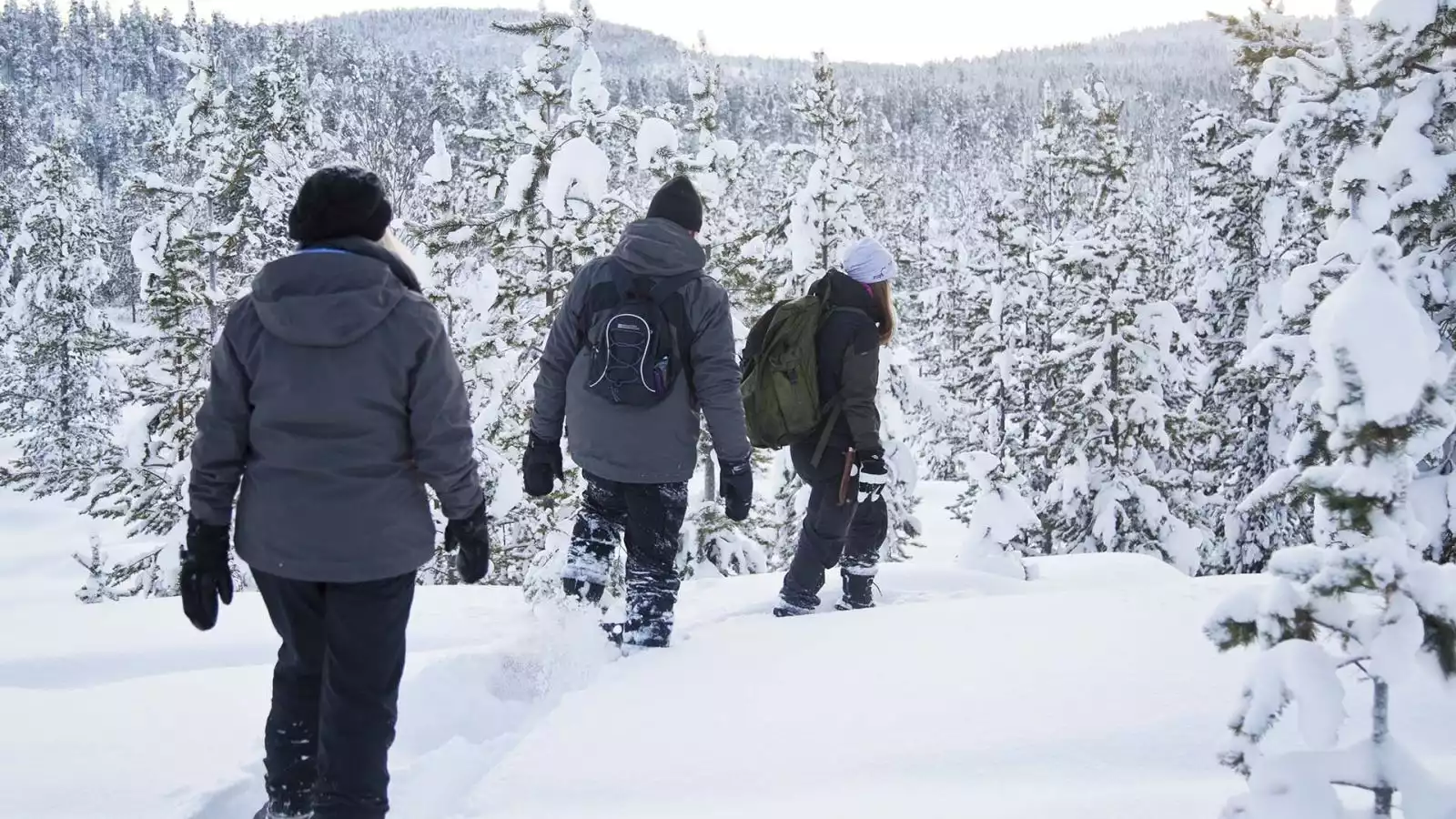 Sneeuwschoenwandelen