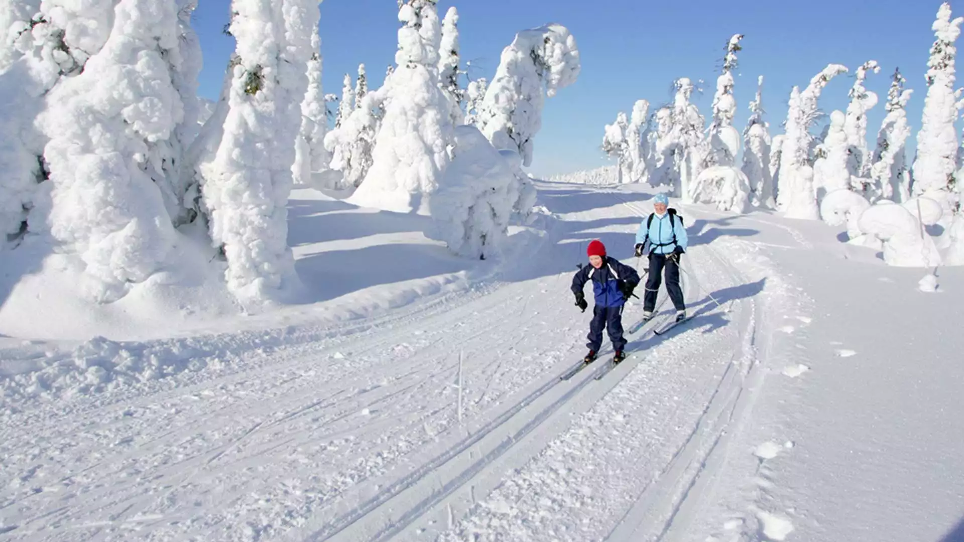 Langlaufen en sneeuwschoenwandelen