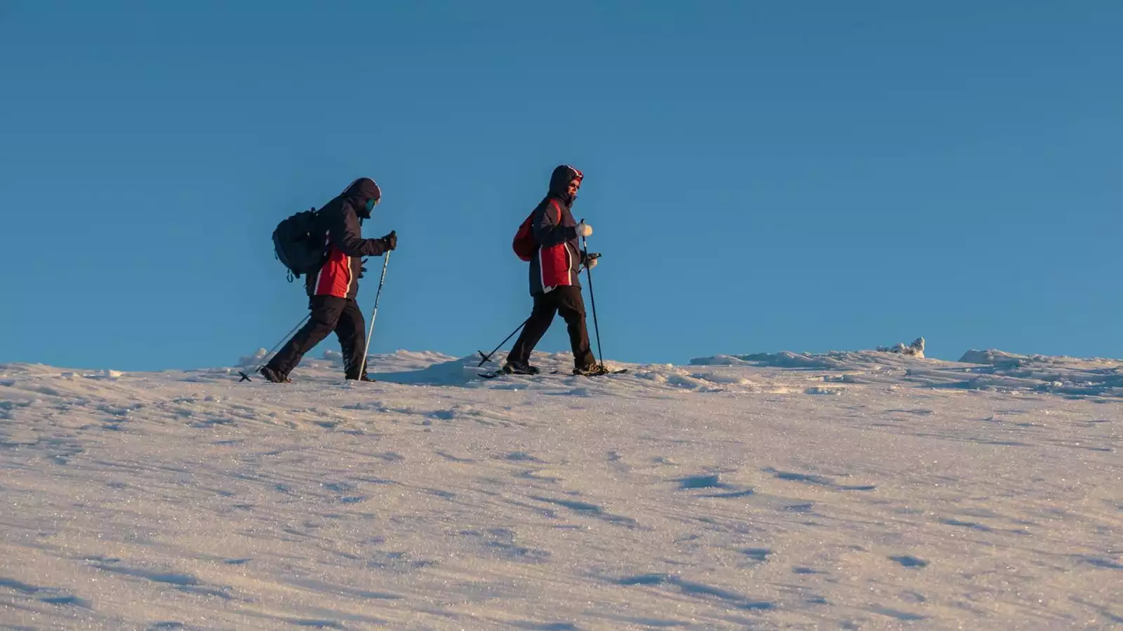 Door Winterwonderland op sneeuwschoenen