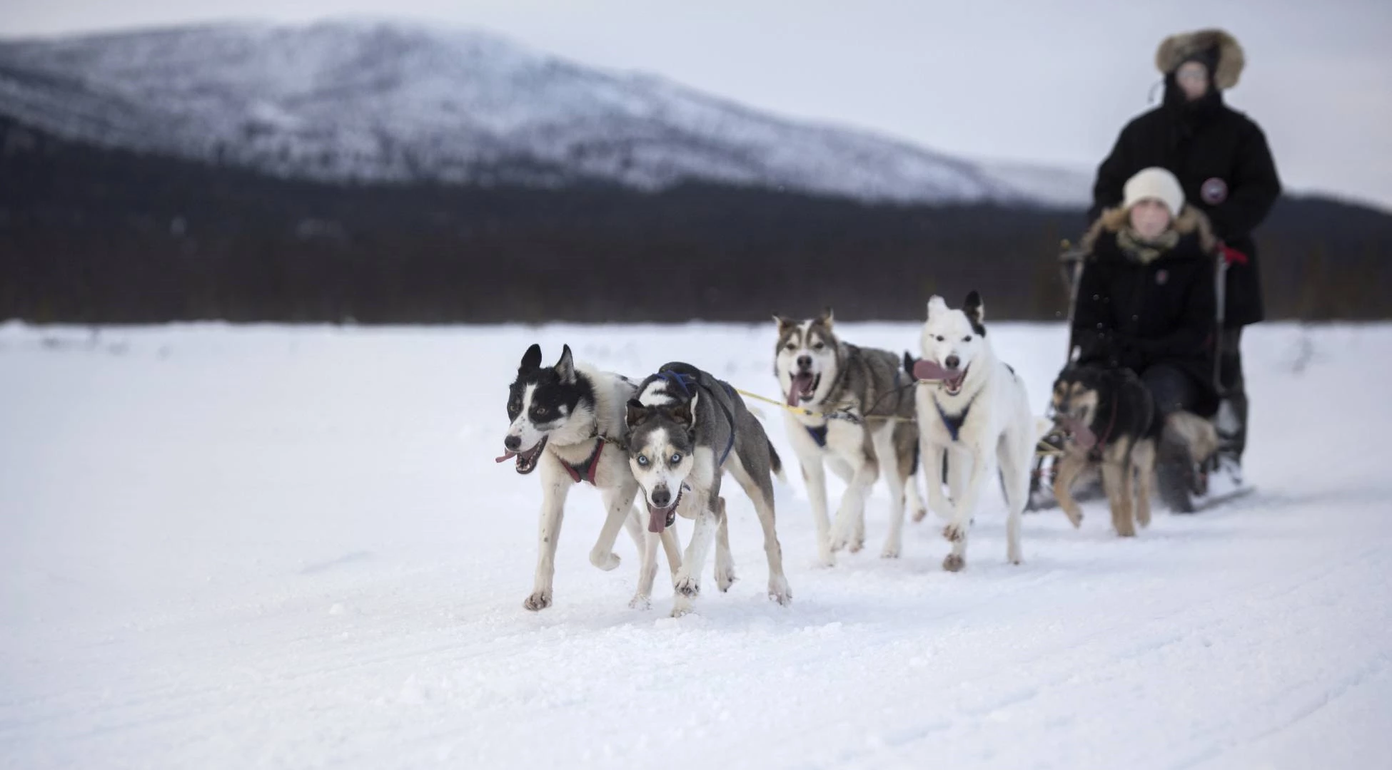 Welkom in Zweeds Lapland!