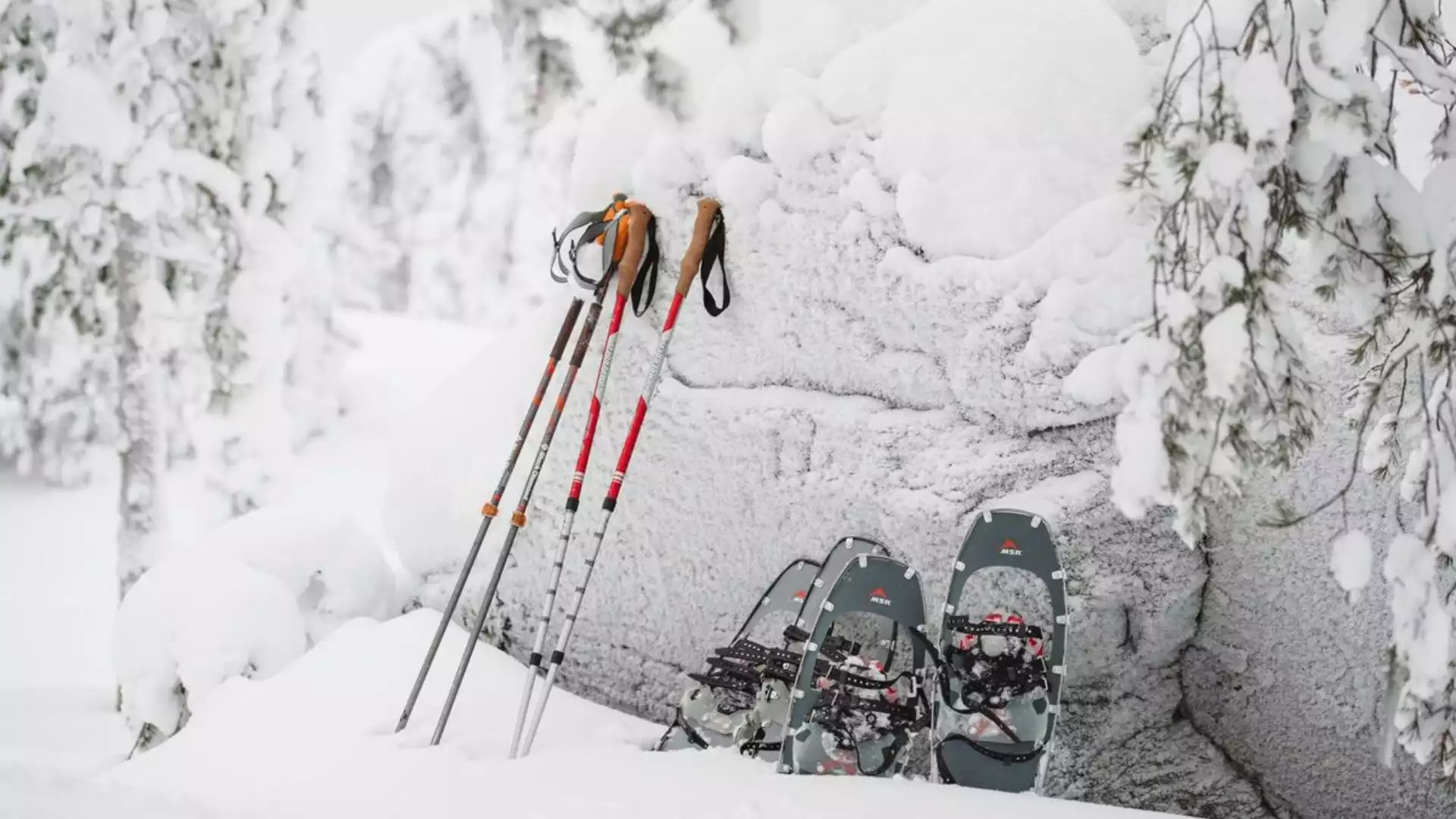 Ontdek de omgeving op sneeuwschoenen of ski's