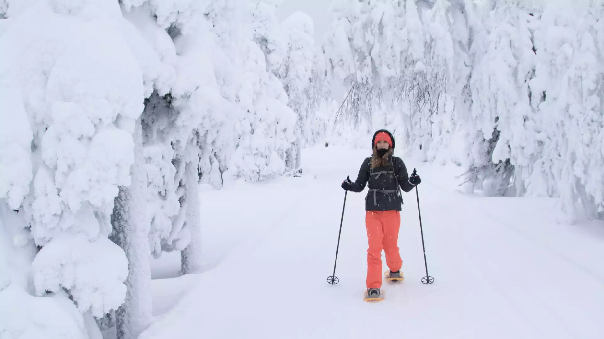 Sneeuwschoenwandelen door Pallas Nationaal Park