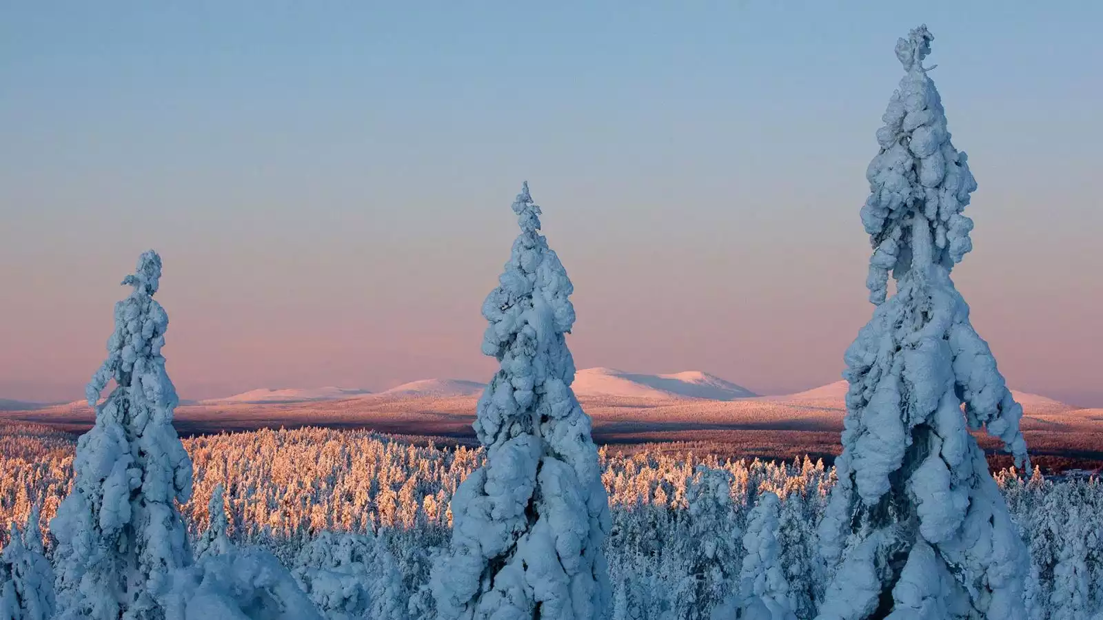 Welkom in Fins Lapland!