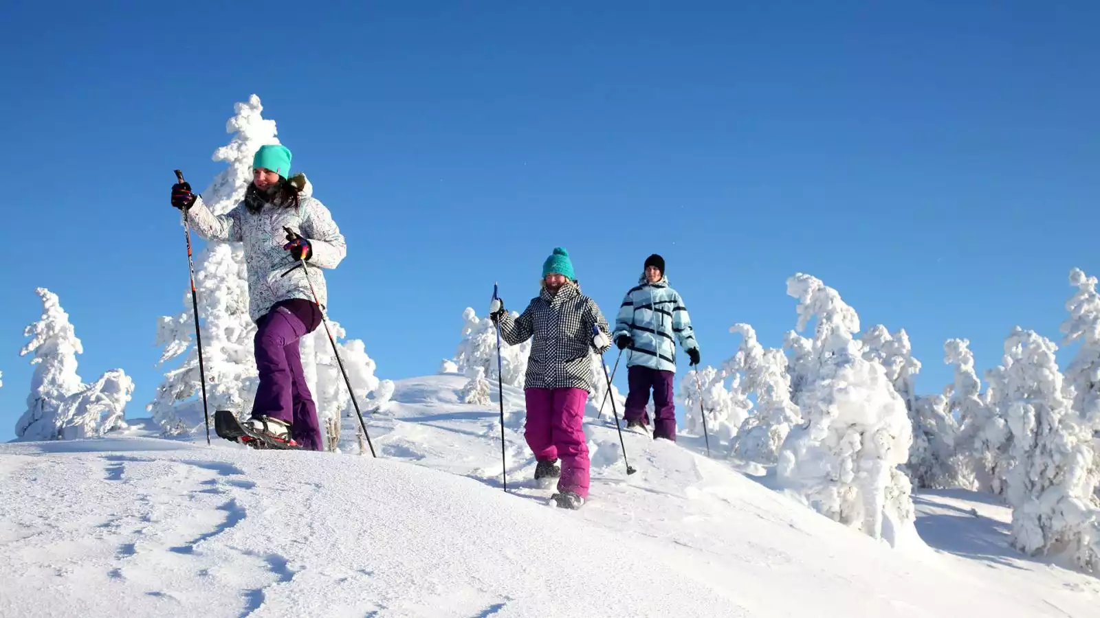Warm welkom in Lapland met sneeuwschoenwandelen en Noorderlicht sledetocht