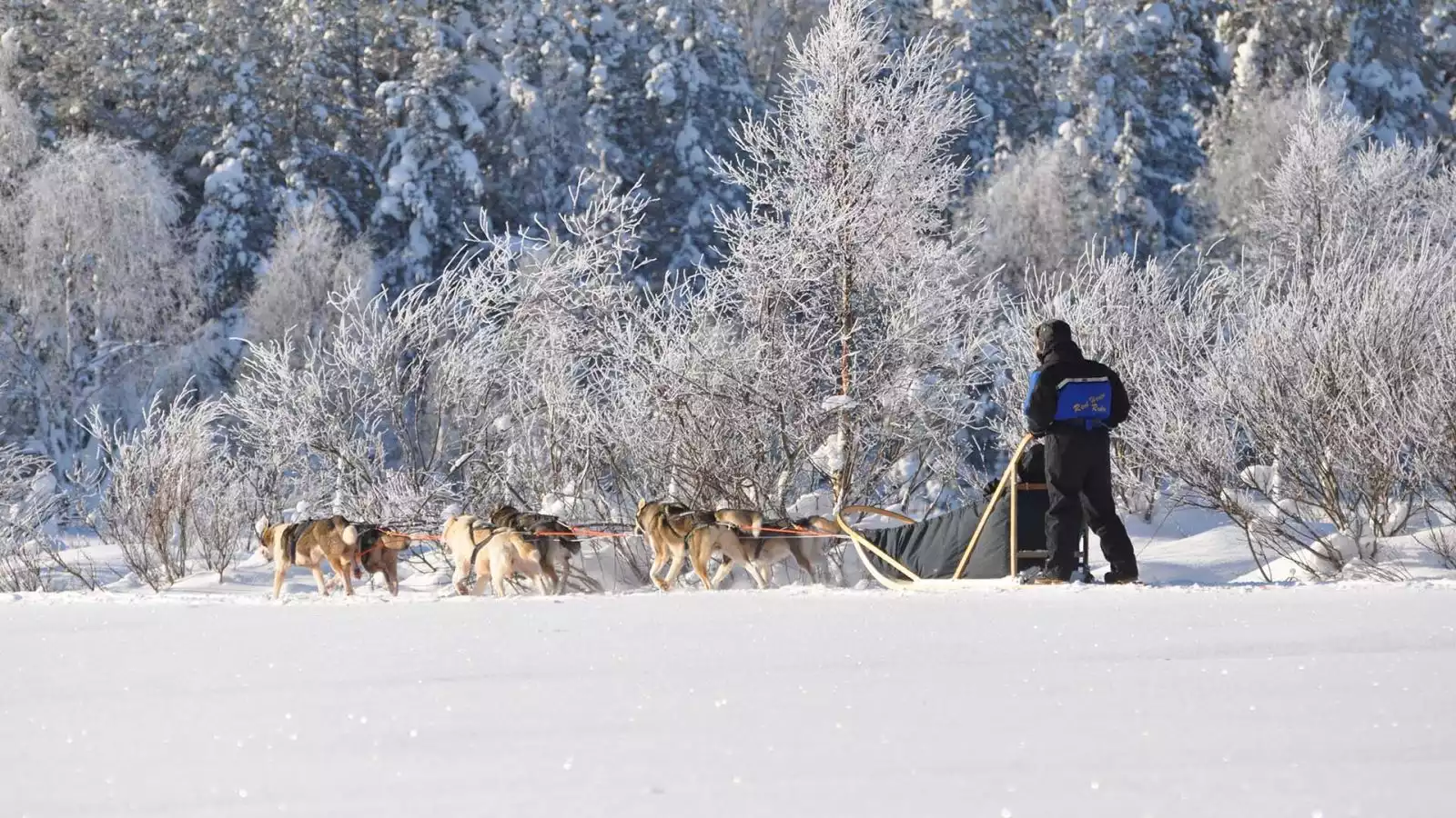 Huskysafari in de natuur en de traditionele rooksauna