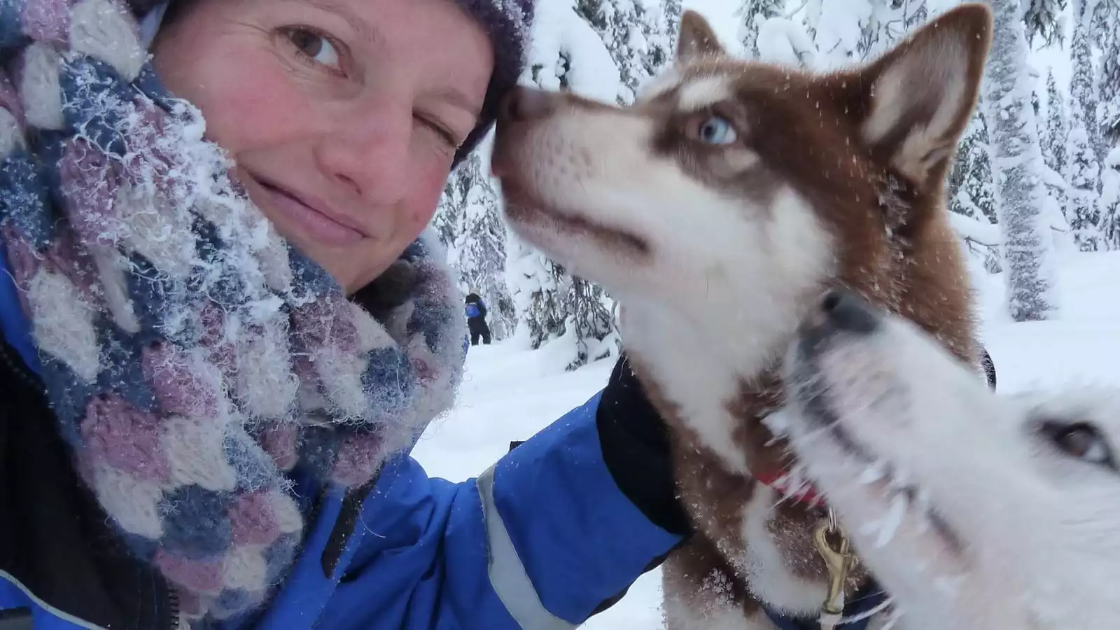 Husky Express en sauna met ijswak