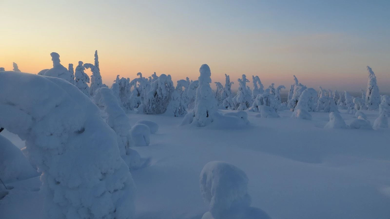 Welkom in Fins Lapland!