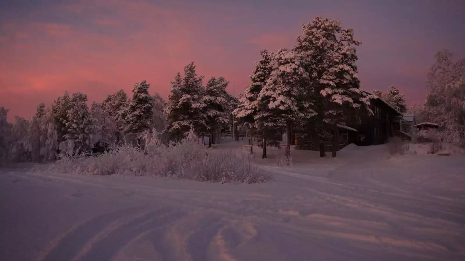 Welkom in Fins Lapland en aurora workshop