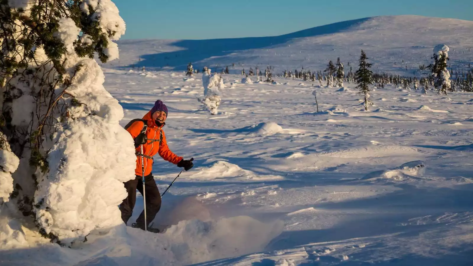 Skiën, op safari of lekker ontspannen?