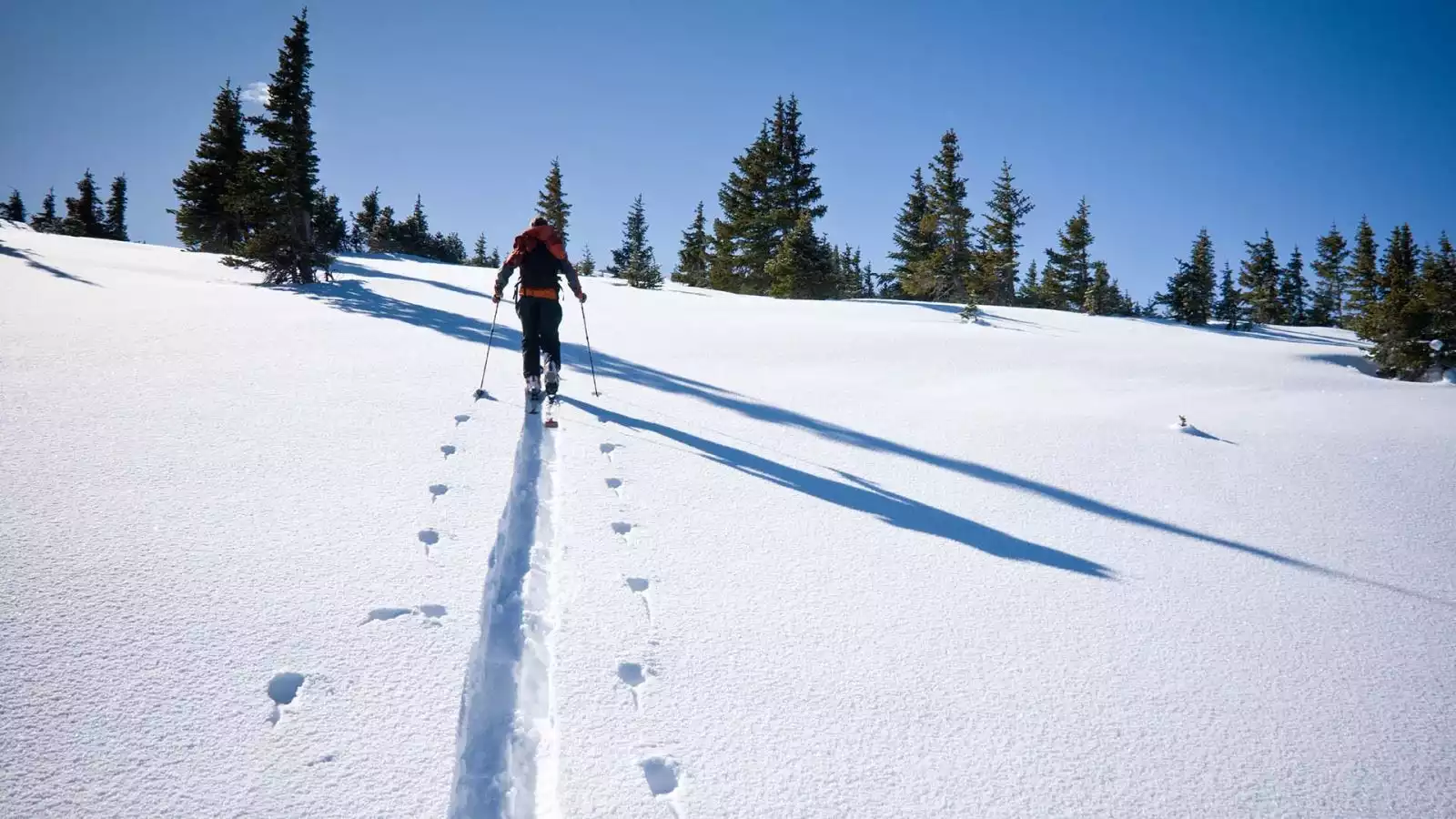 Sneeuwschoenwandeling en Arctic Sauna World