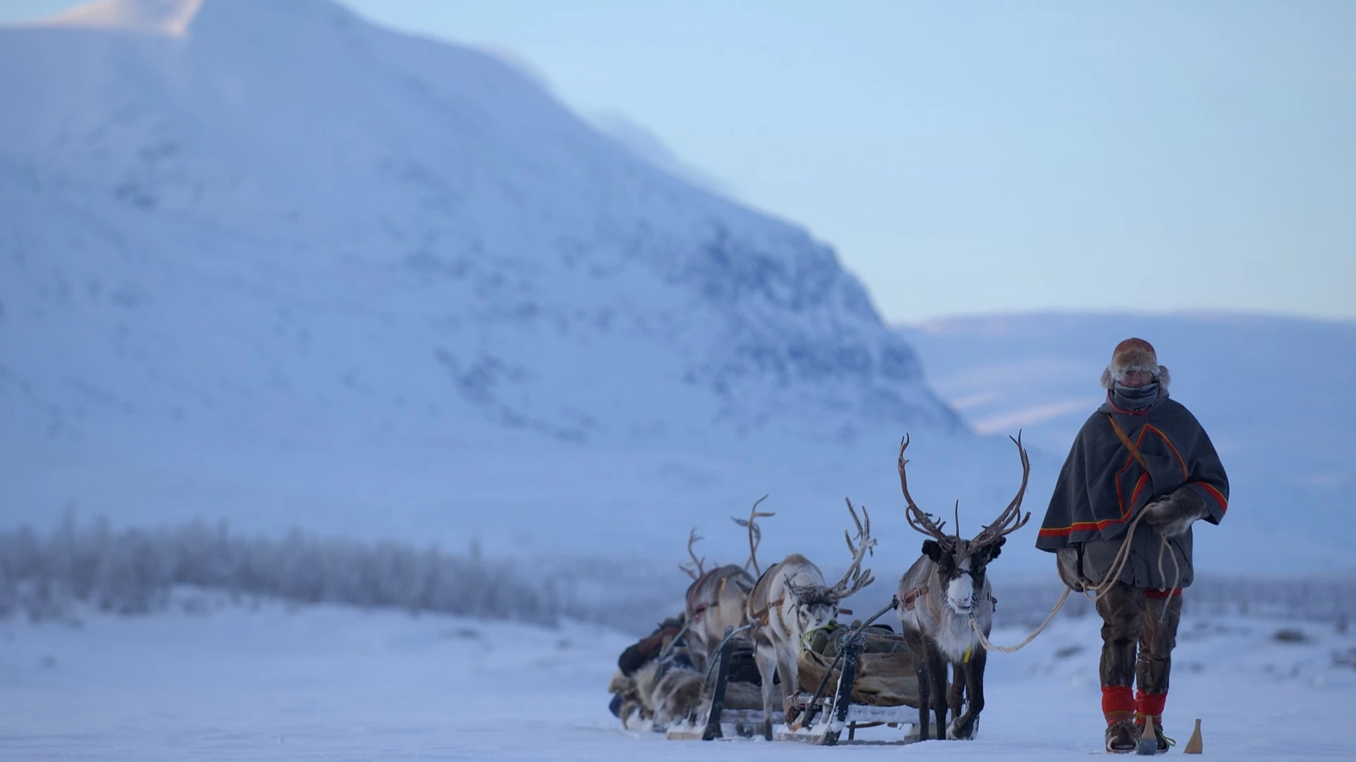 Rendiersafari en en Sámi cultuur