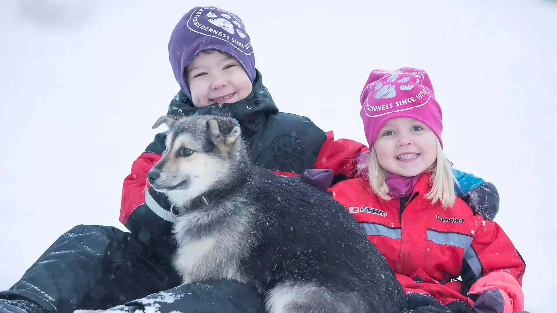 Huskyavontuur