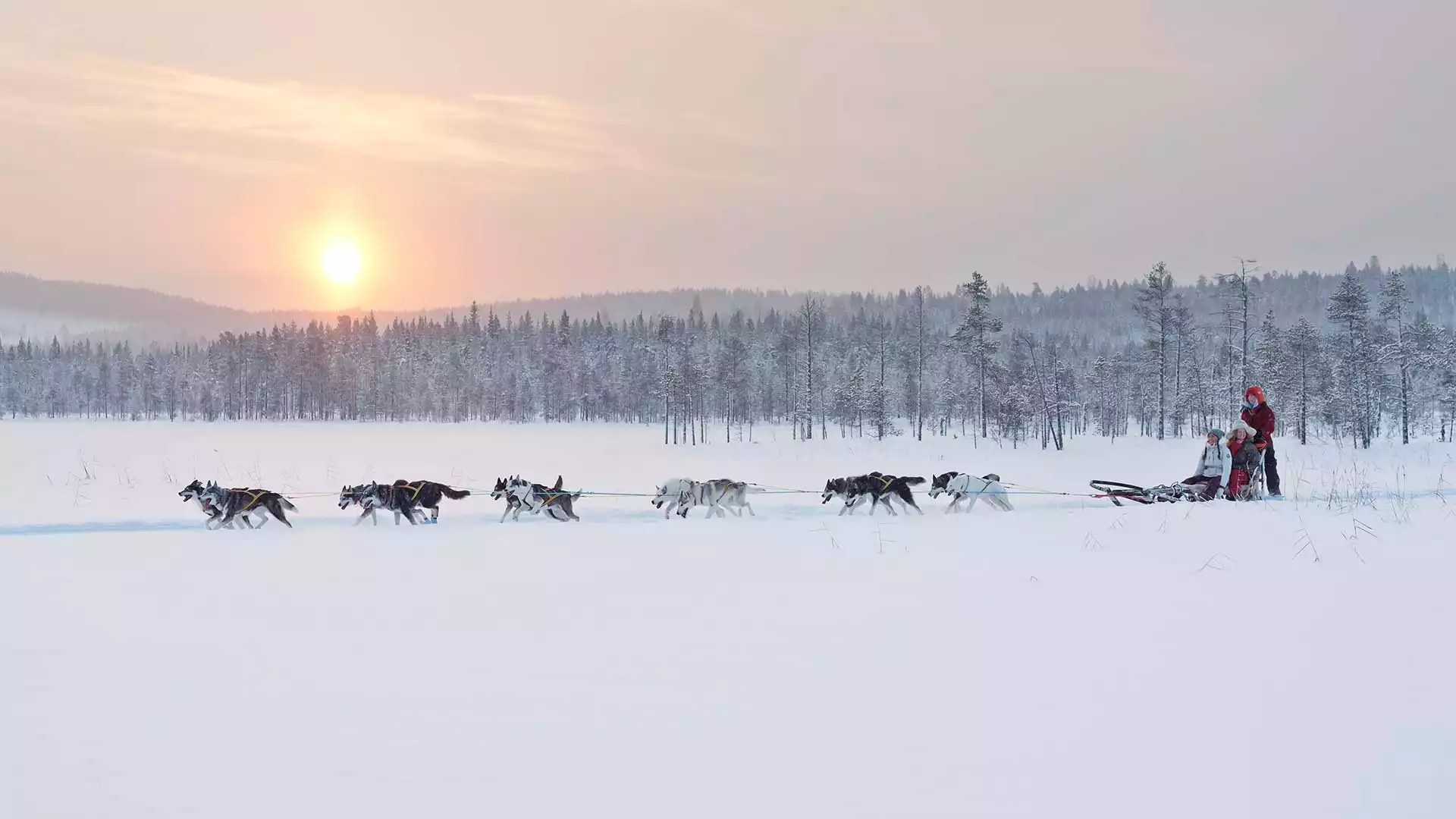 Met de husky’s de Botnische Golf op