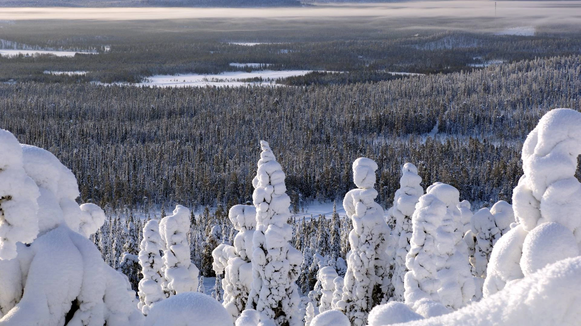 Tervetuloa Lappiin