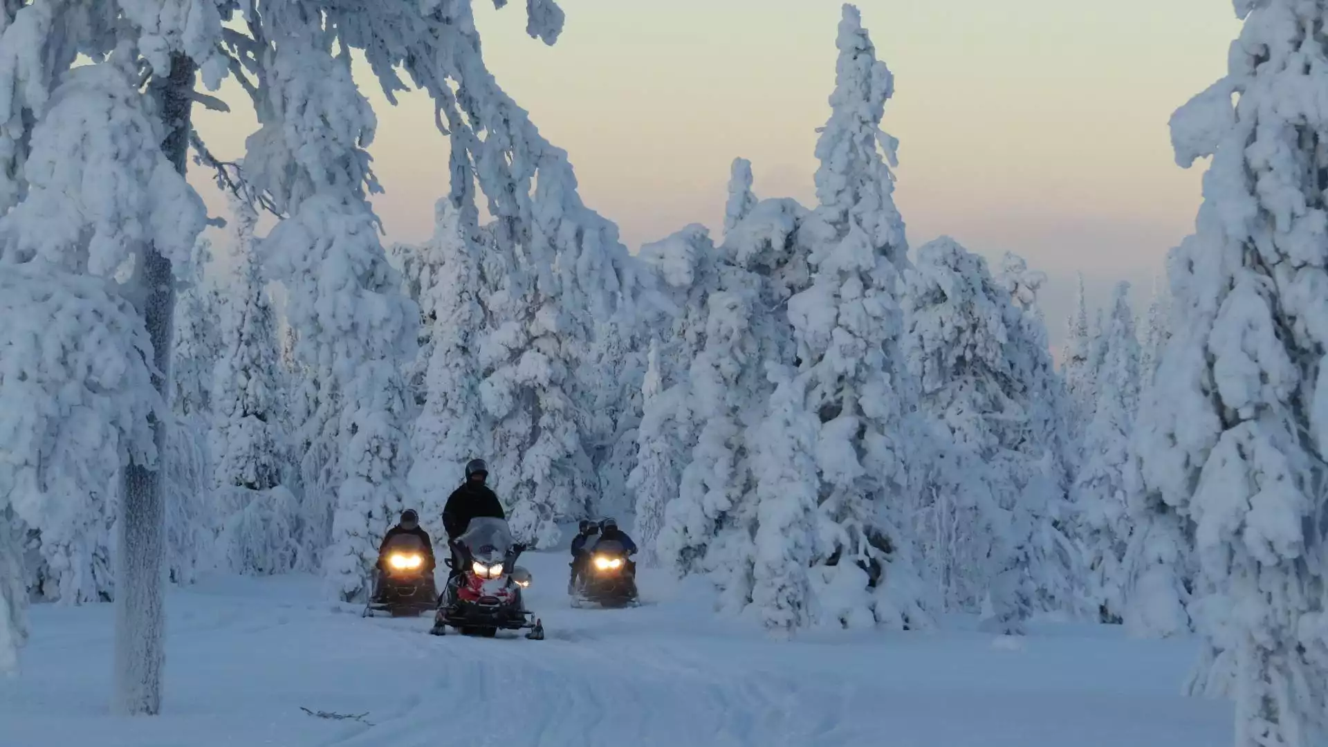 Sneeuwscooteren en dineren in een wildernis blokhut