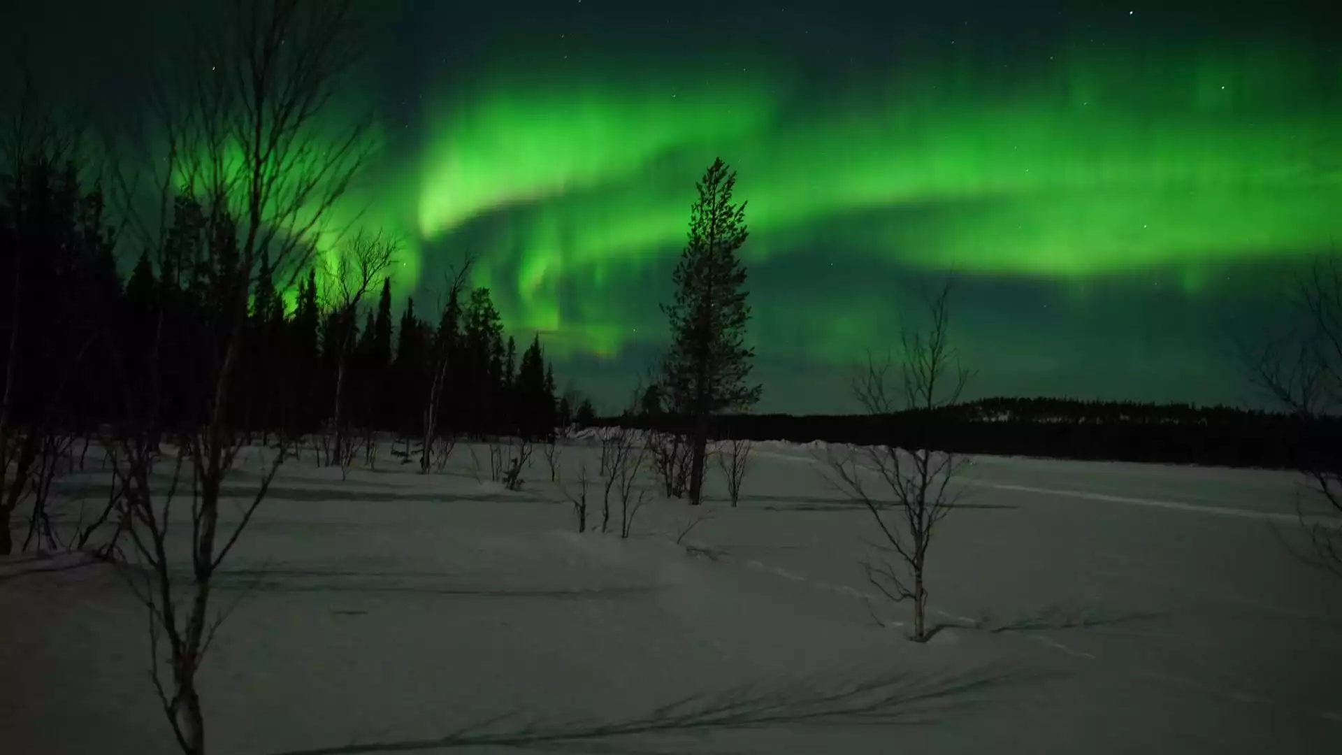 Vrije dag in Lapland