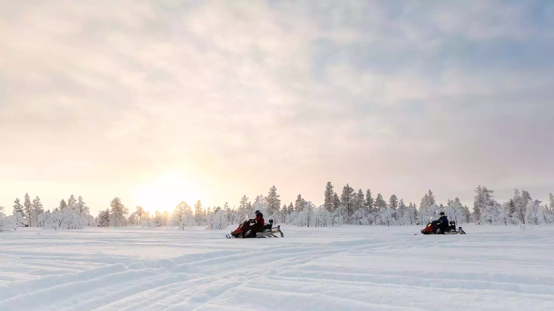 Op zoek naar elanden per snowscooter