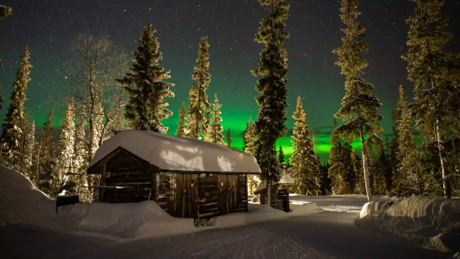 Laatste volle dag in Lapland 