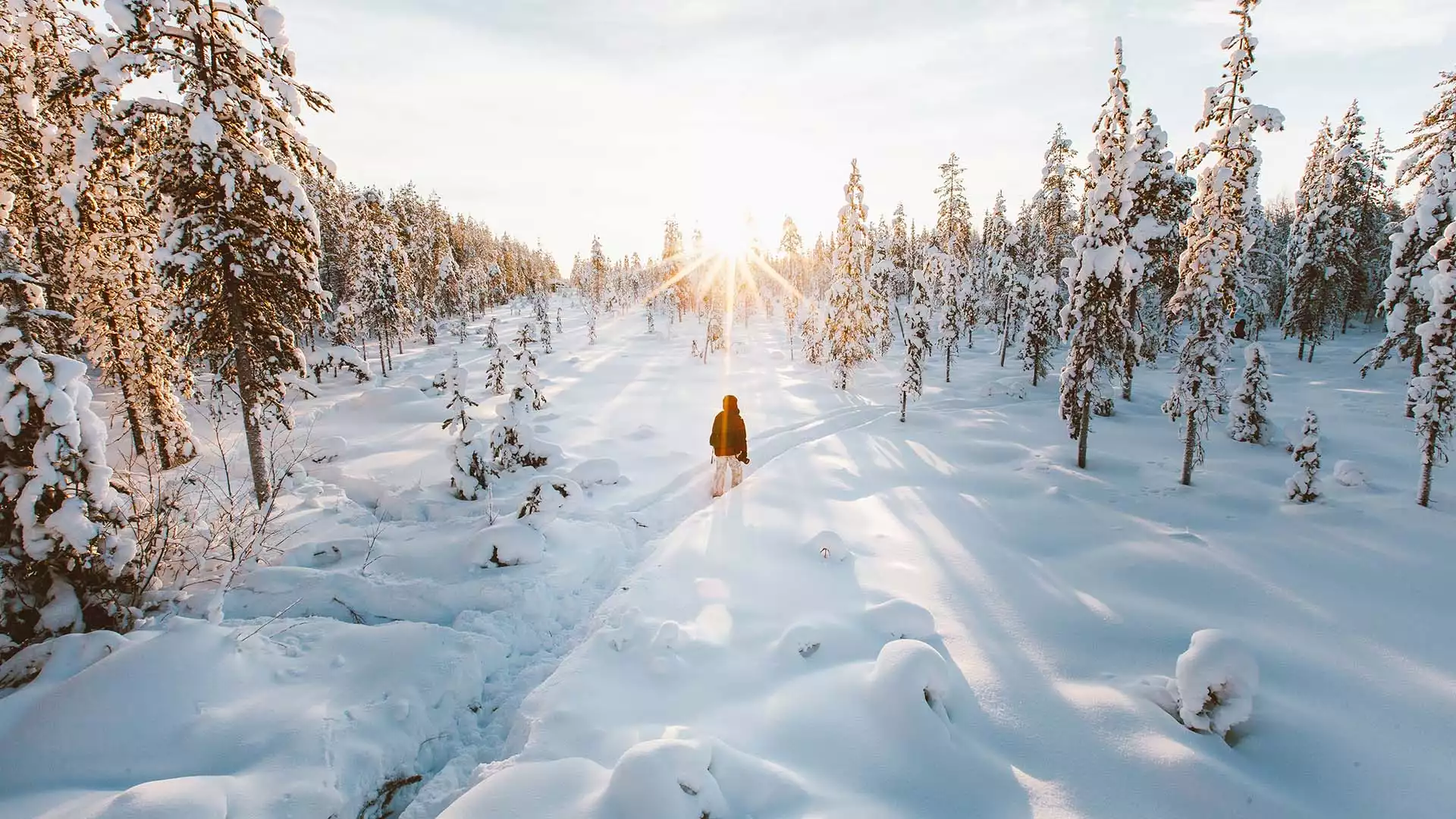 Op naar Lapland