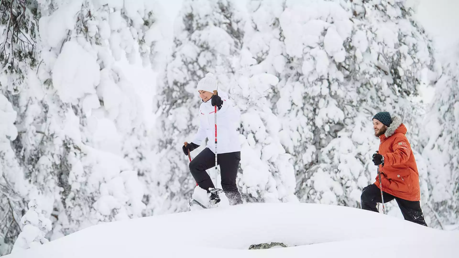 Sneeuwschoenwandelen in de wildernis 