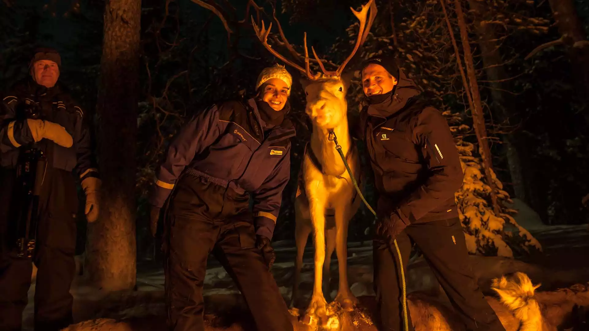 Noorderlichtjagen met rendieren