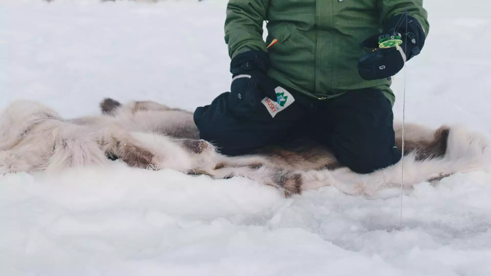 Een heerlijke actieve dag in winterwonderland 