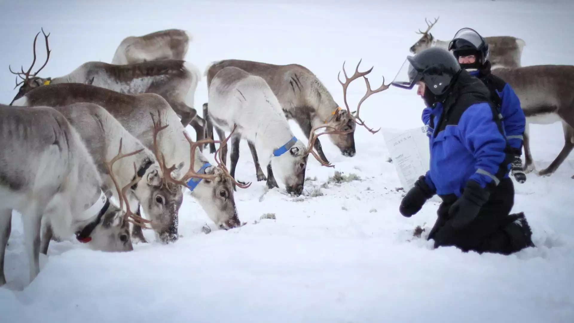 Welkom in Fins Lapland!