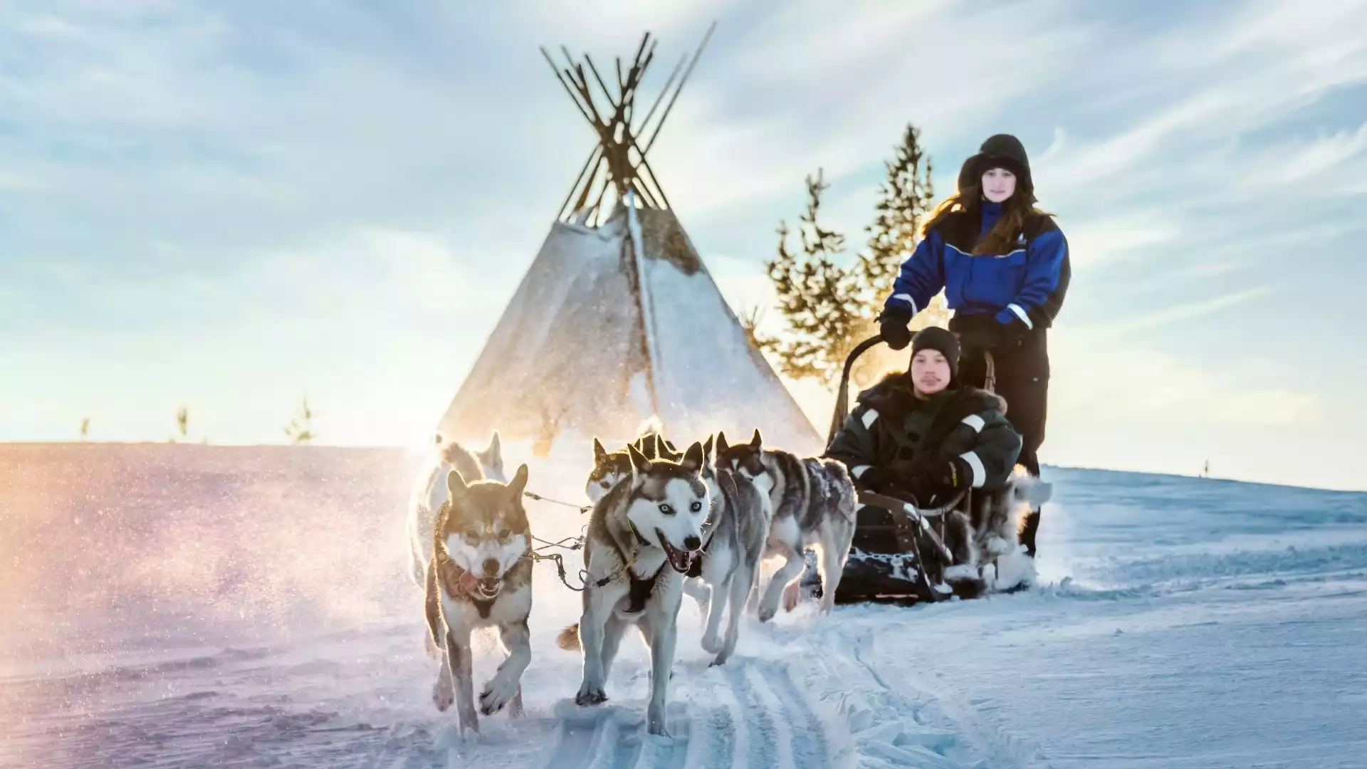 Op pad met de husky's