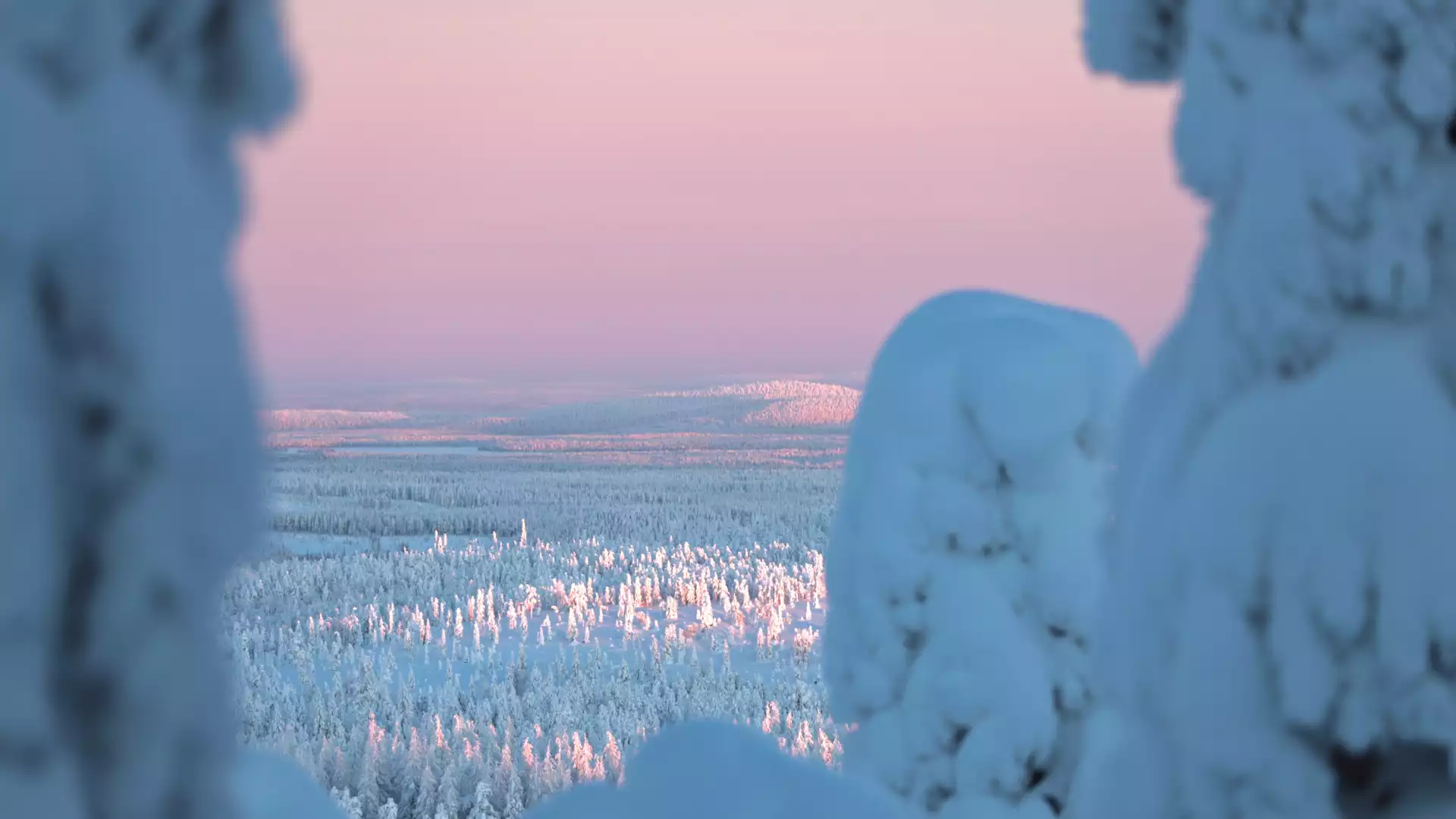 Goedemorgen Lapland