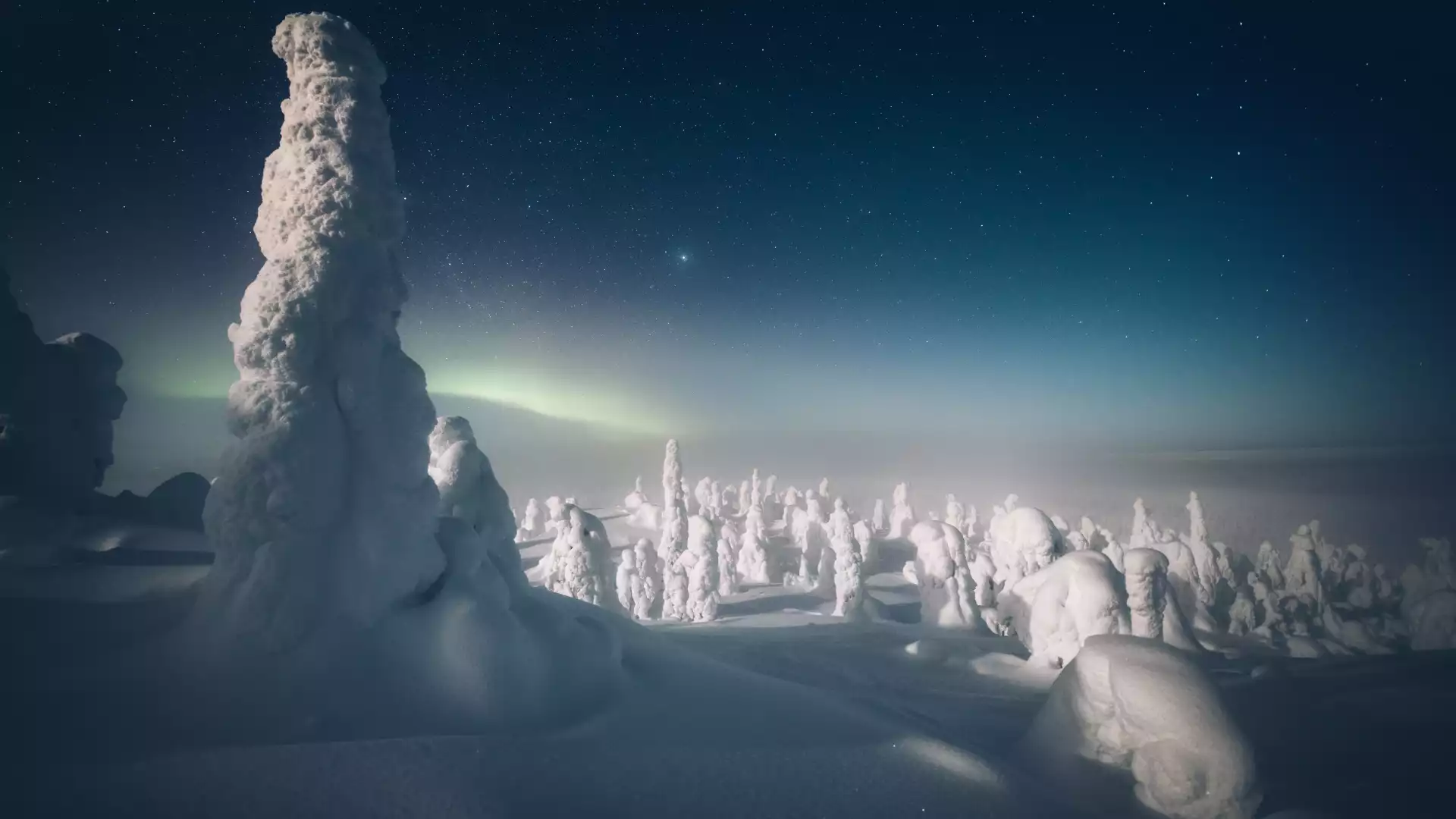 Op zoek naar het noorderlicht op sneeuwschoenen