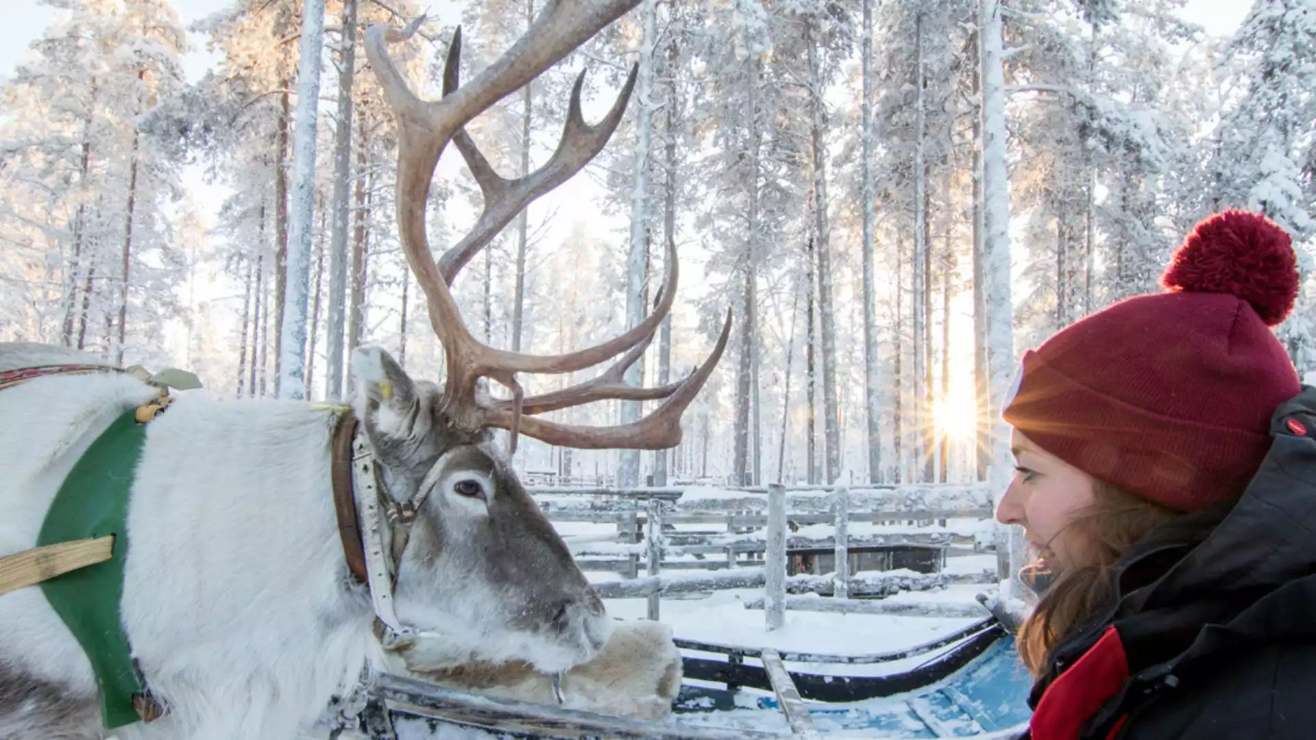 Welkom in Fins Lapland!