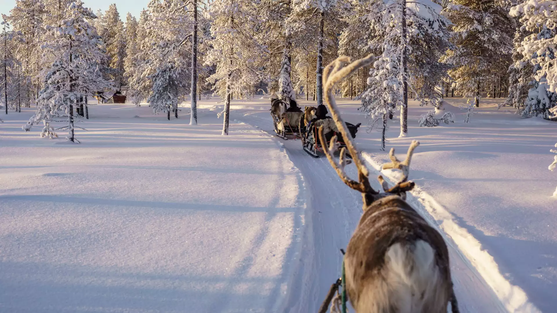 Welkom in Fins Lapland!