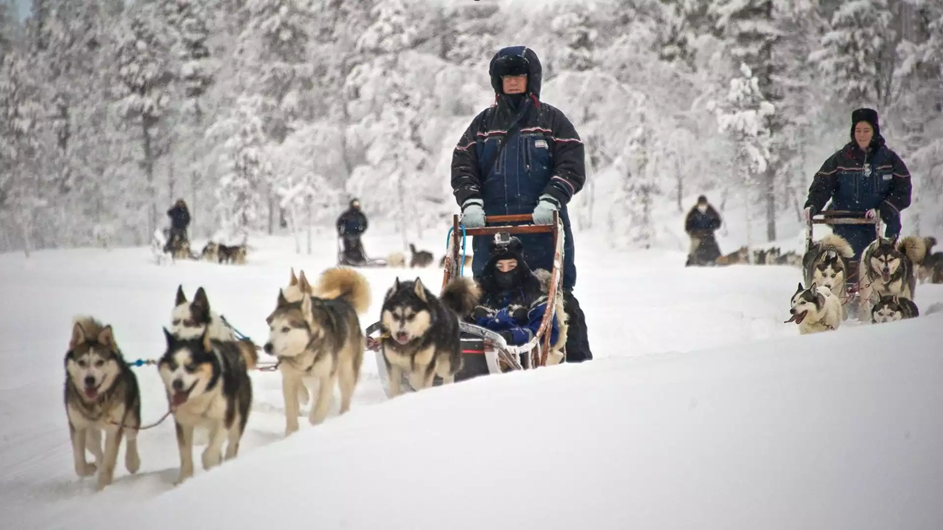 Op pad met de husky´s