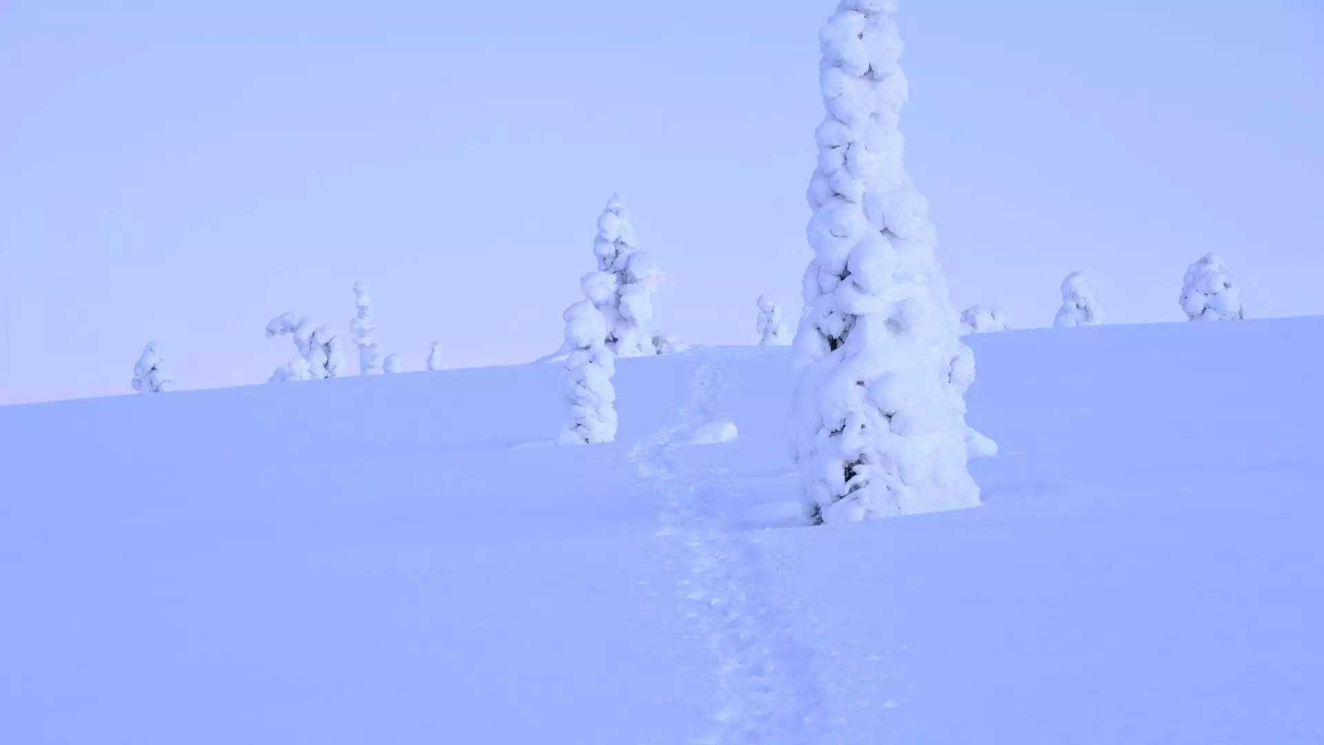 Afscheid nemen van Lapland