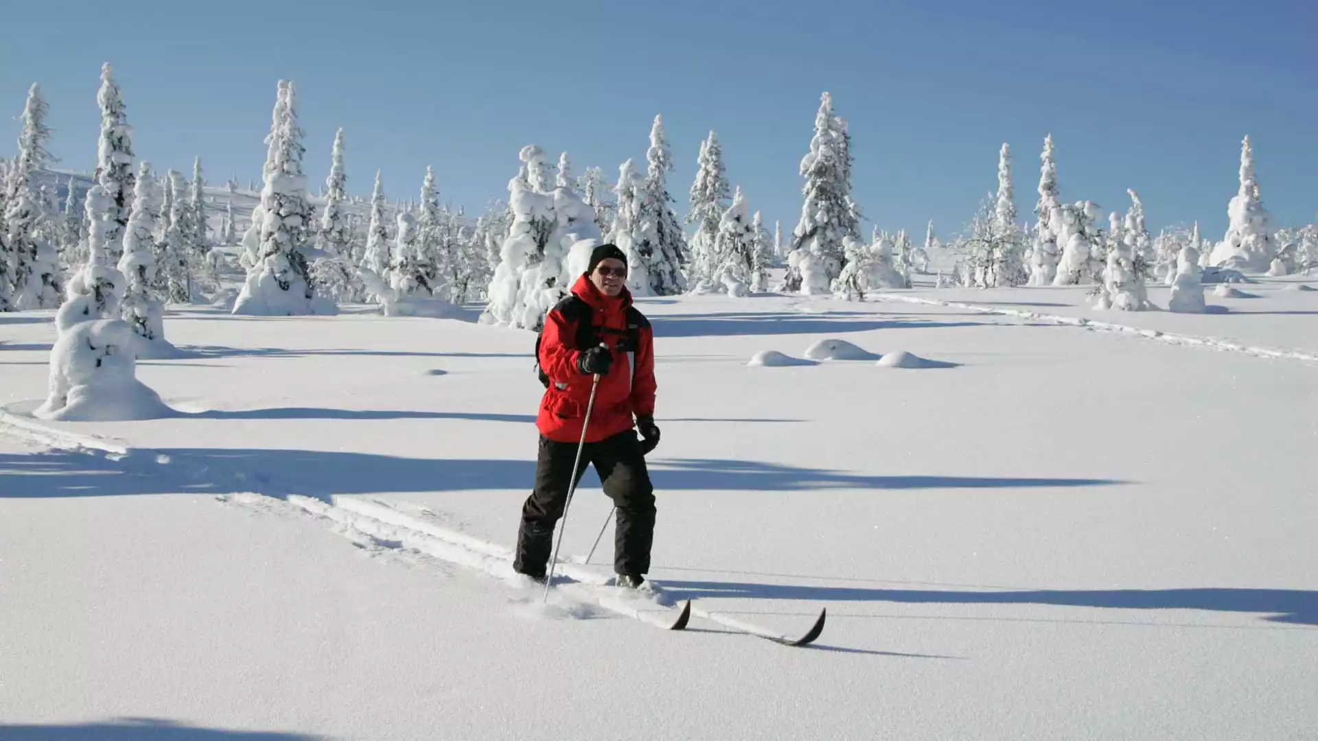 Arctische sneeuwschoenwandeling