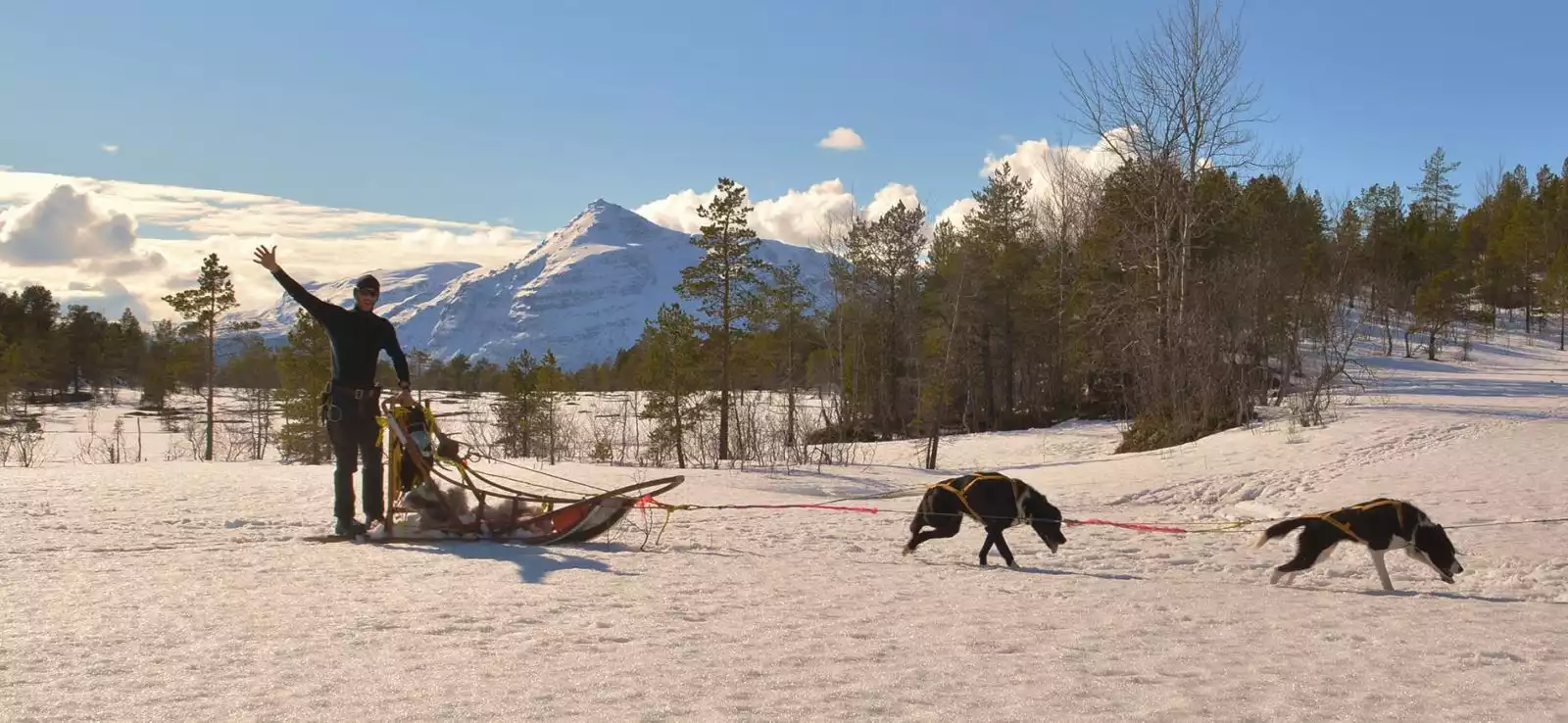 Husky's en noorderlichtjagen