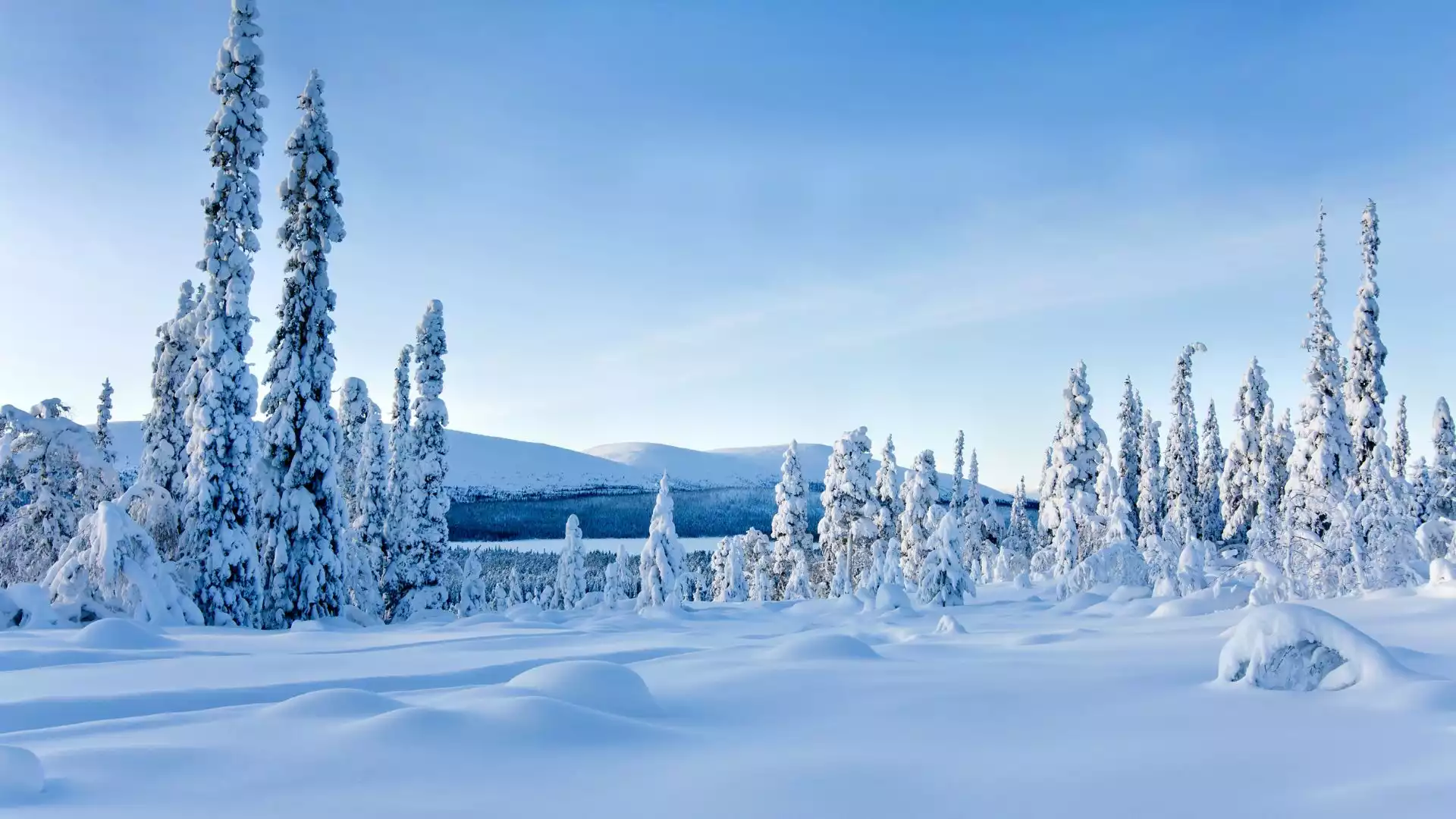 Welkom in Fins Lapland