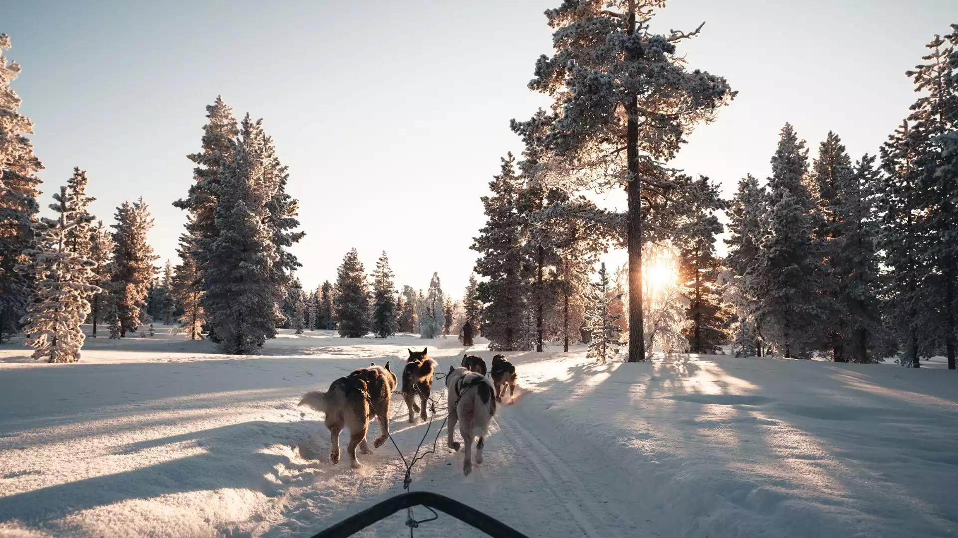 Op avontuur met de husky’s