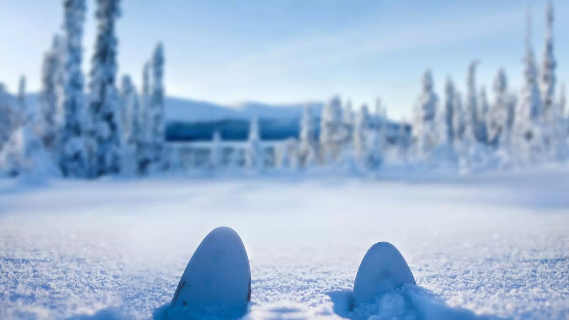 Afscheid van Lapland