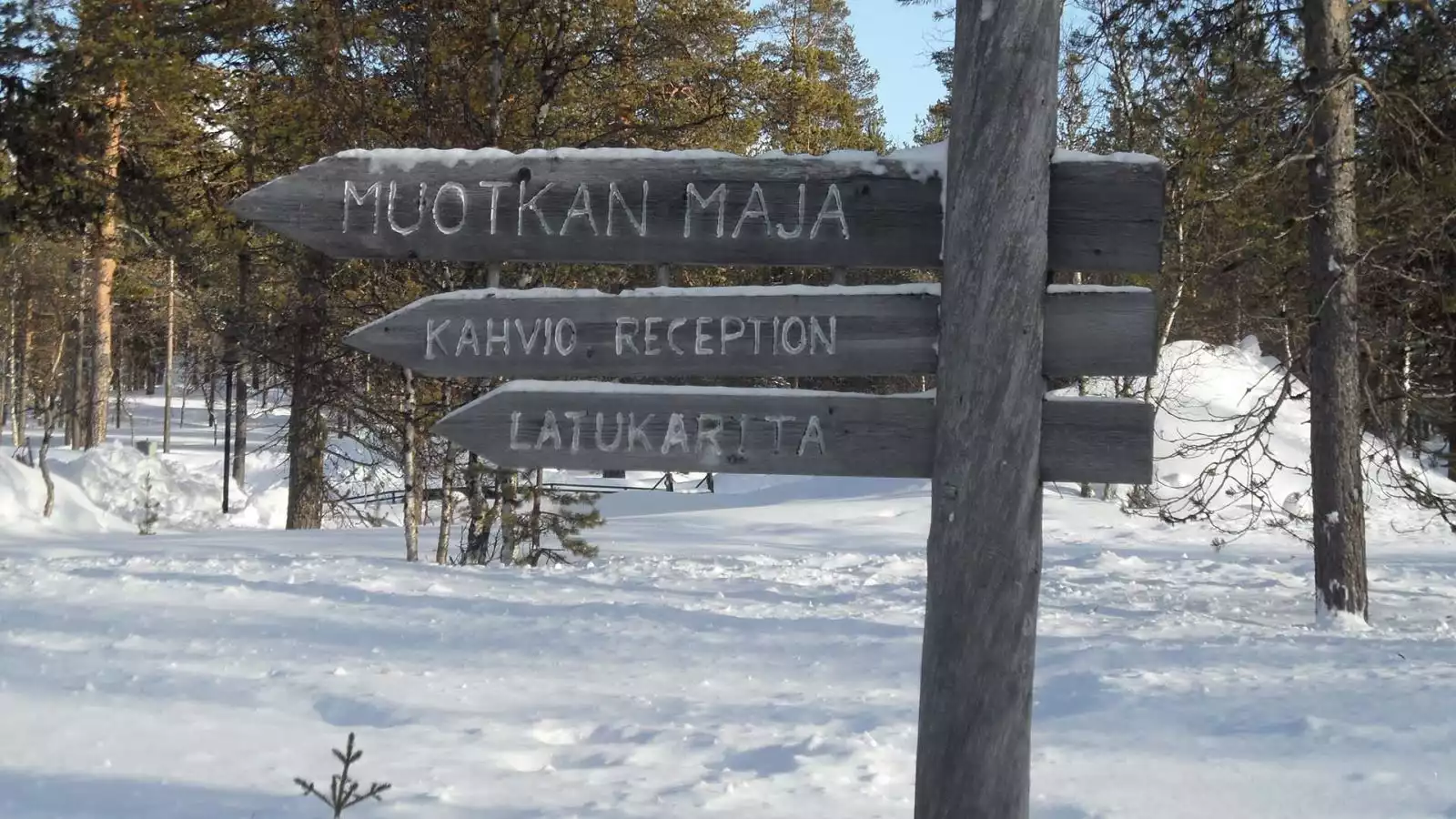 Welkom in Fins Lapland!