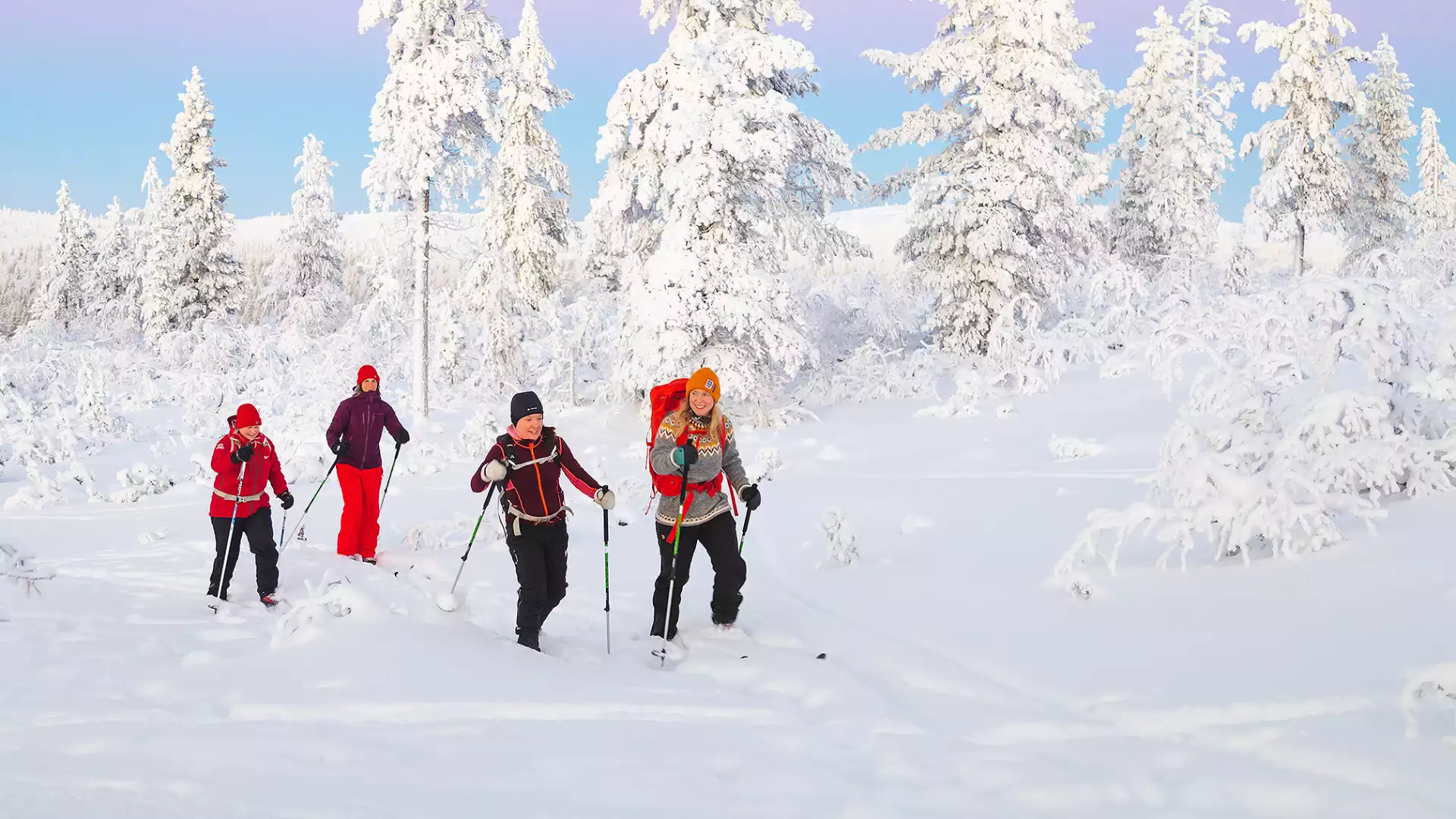 Arctisch ski avontuur met outdoor lunch